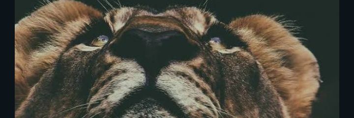 Miss_FirstLady's profile banner image