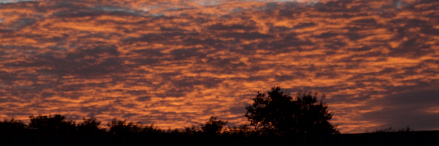 lodmgt's profile banner image