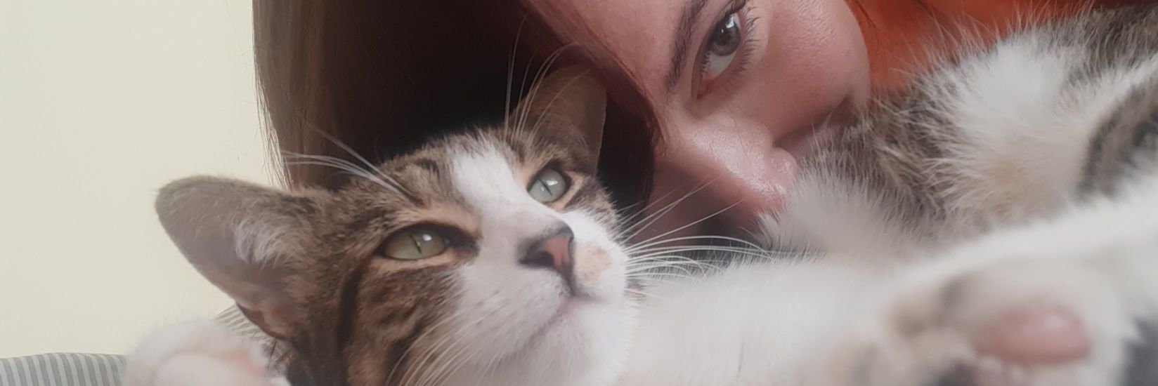msyeahdude's profile banner image