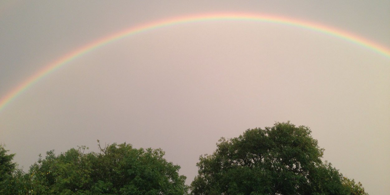 David Williams banner