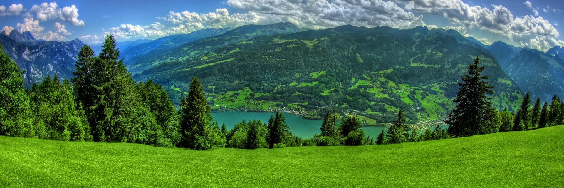 EvergreenLuz's profile banner image