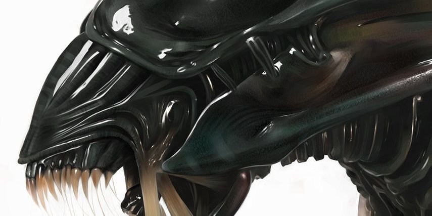 AgentSmithJ's profile banner image