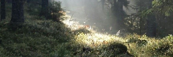 Marie Jerpseth banner