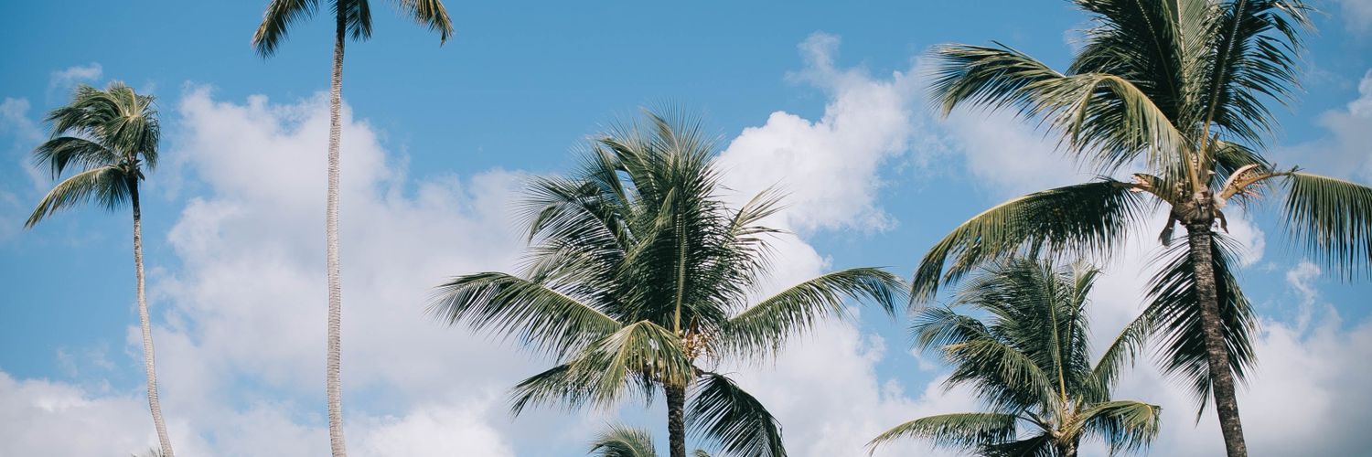 saurisvip's profile banner image
