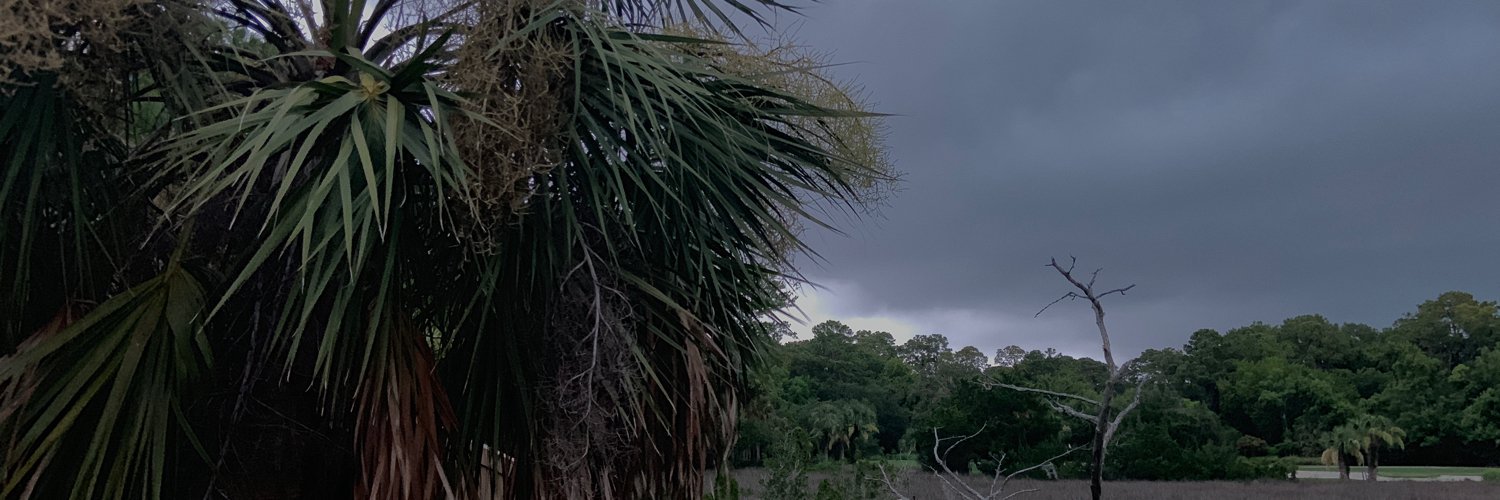 forktweets's profile banner image