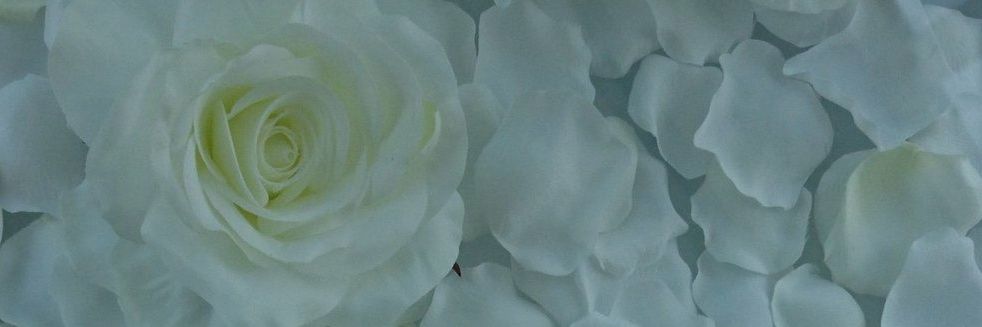 ayaka_goods's profile banner image