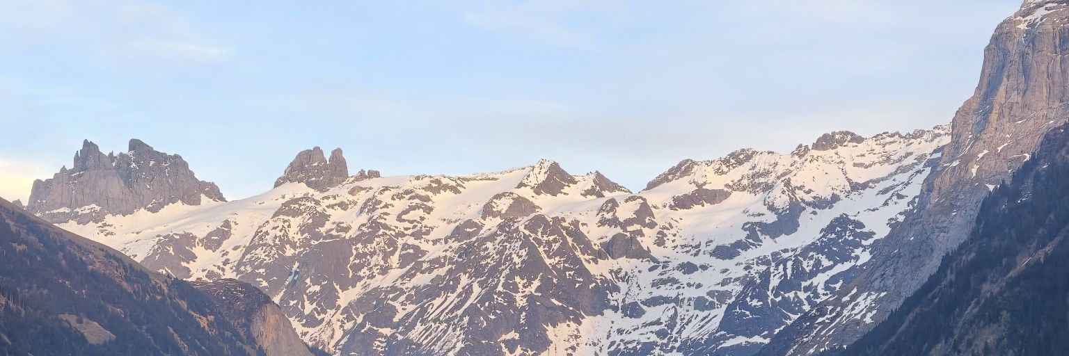 ☕📸🏋️🧳® banner