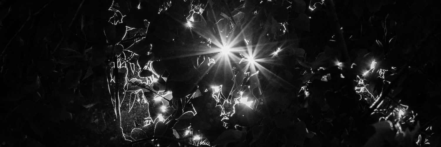 Shen_Scott's profile banner image