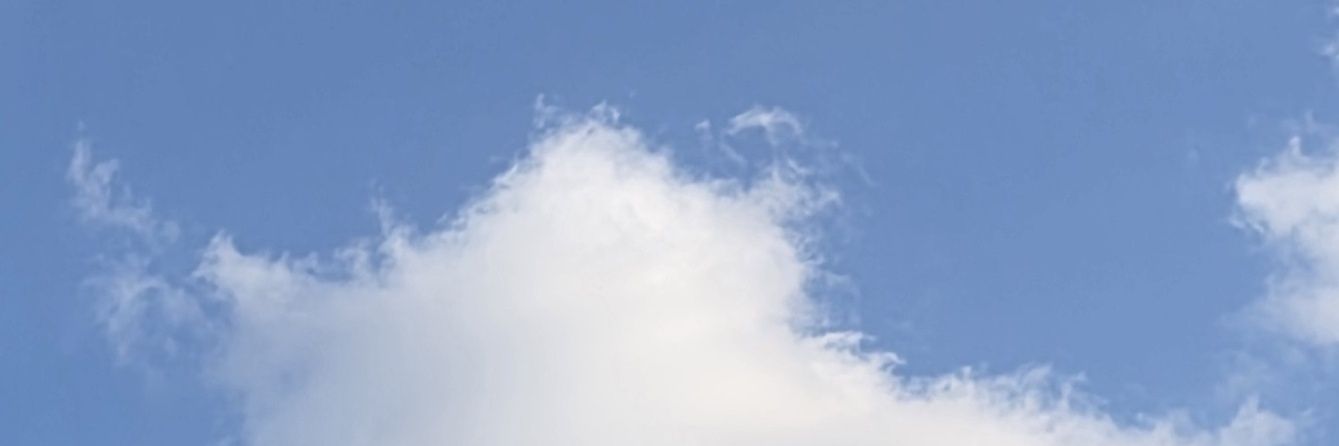 미고리 banner