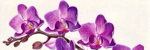 a good thing🍓 banner