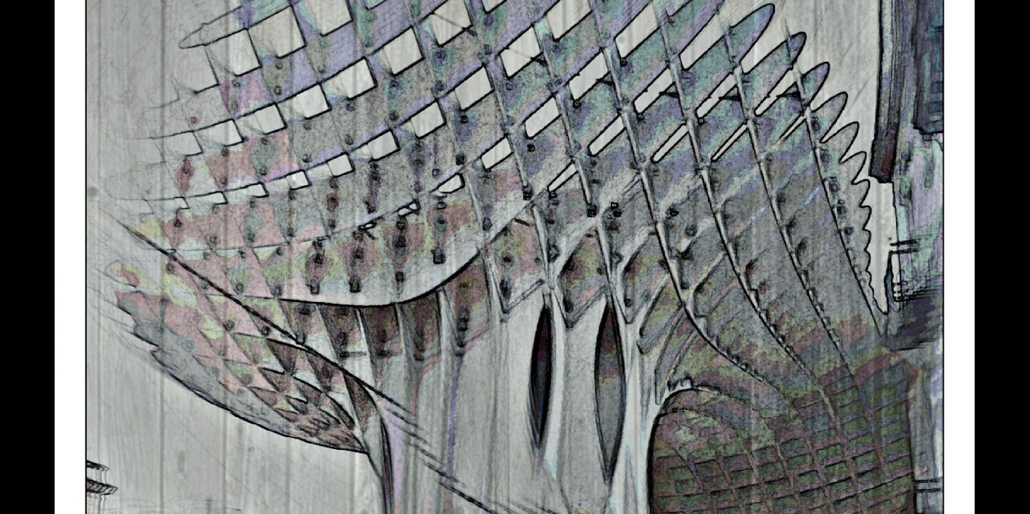aliarizado's profile banner image
