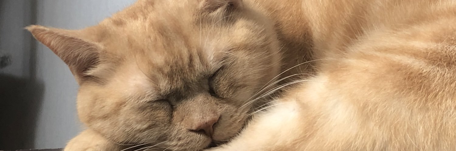 idonthinkit's profile banner image