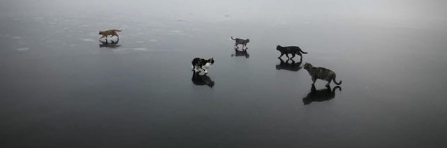 yajabka's profile banner image
