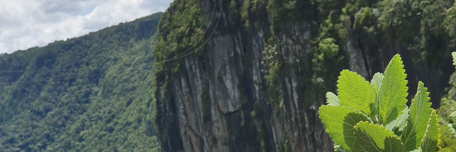 drropah's profile banner image
