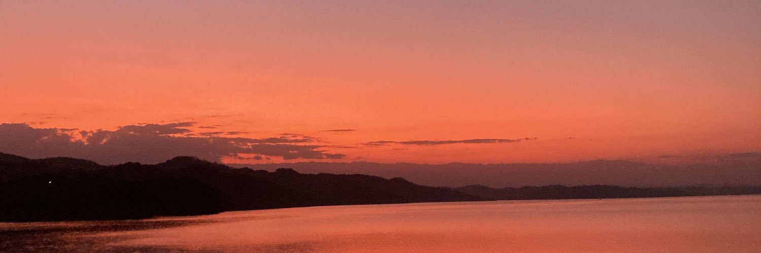julidelmonte1's profile banner image