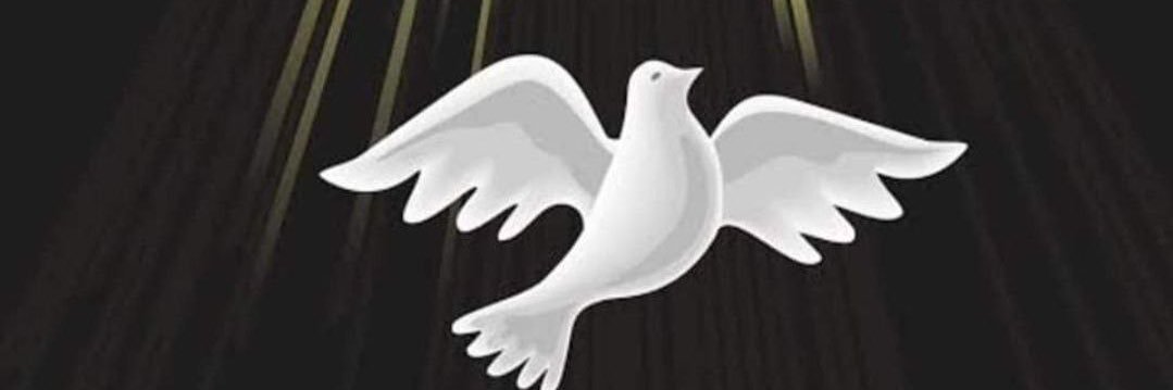 Hcribskid's profile banner image