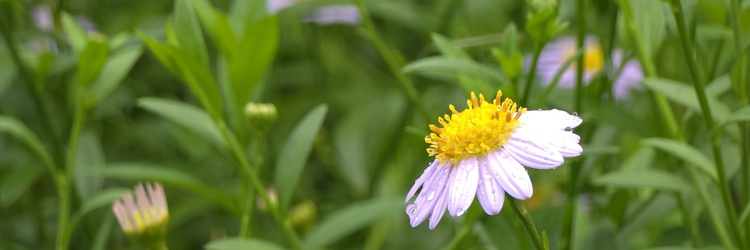 VoryKW's profile banner image