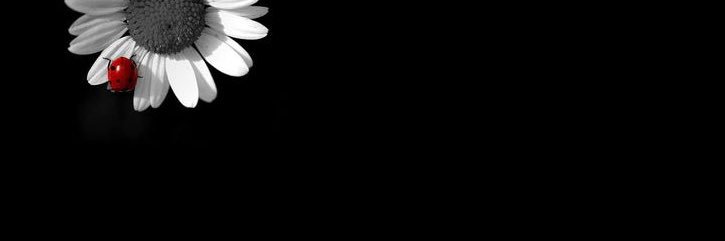 h_________D_'s profile banner image