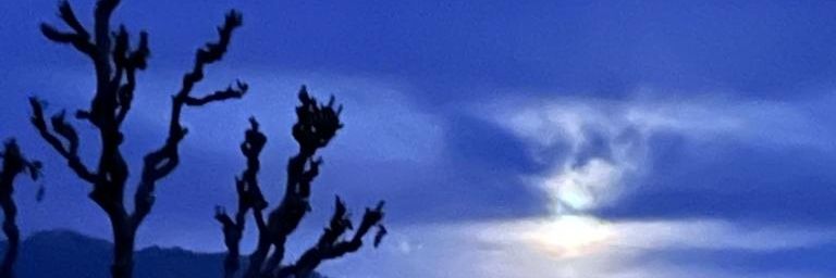 vedamrita's profile banner image