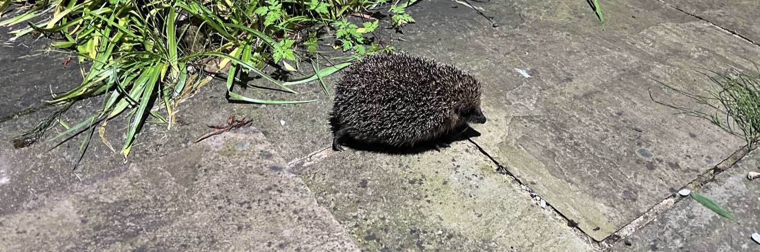 Katherine Fletcher banner