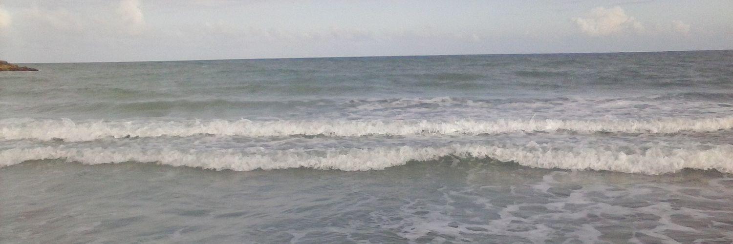 ShaneTindall's profile banner image