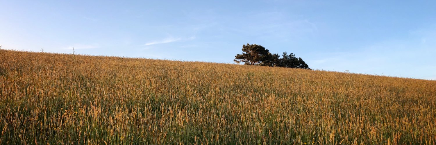 WestwardSupport's profile banner image