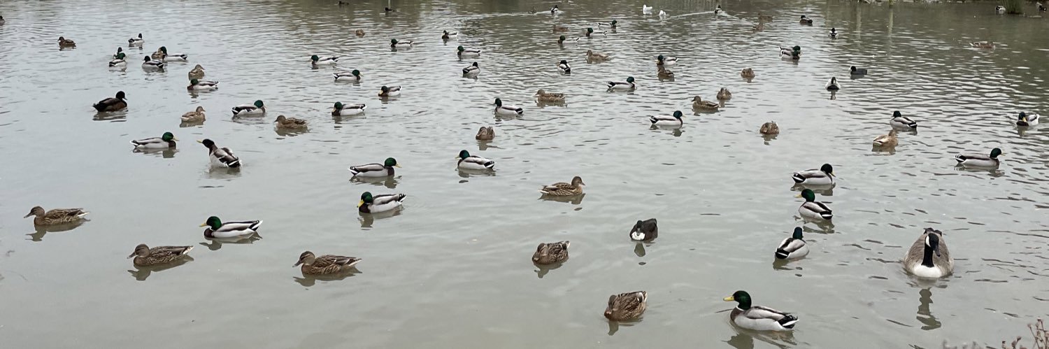 Nick MacMahon banner