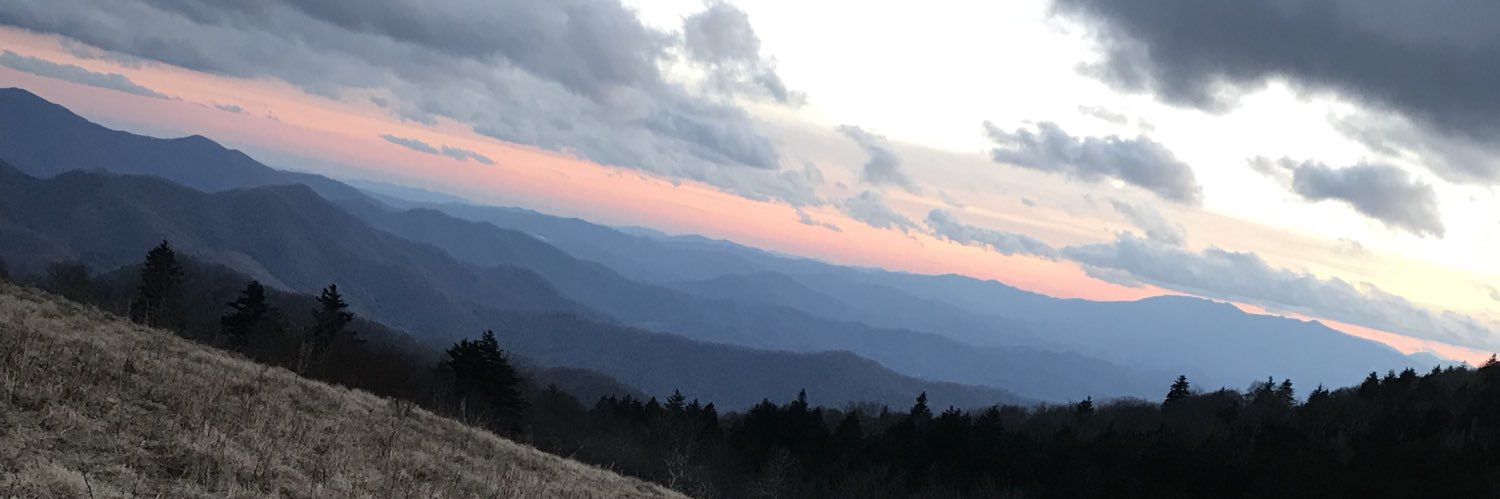 LarkinsAmanda's profile banner image