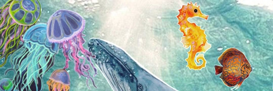 bubercicansu's profile banner image