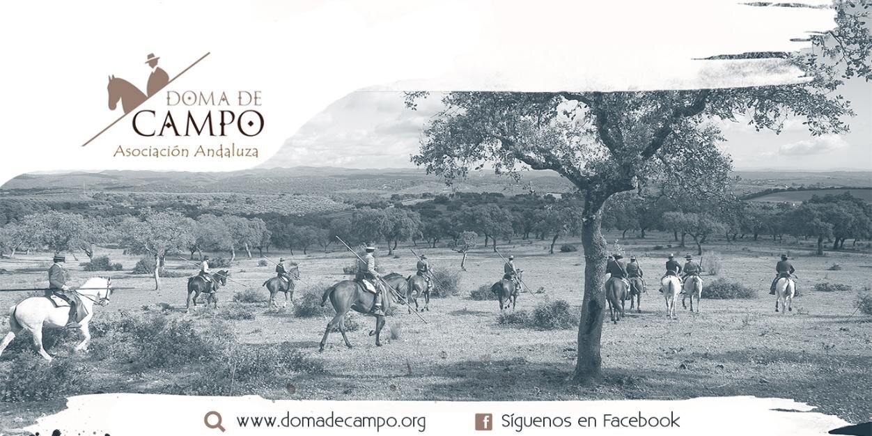 domadecampo's profile banner image