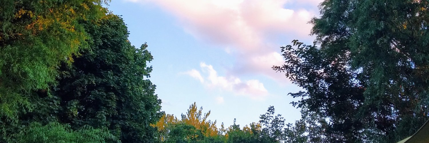 _jeff_bell_'s profile banner image