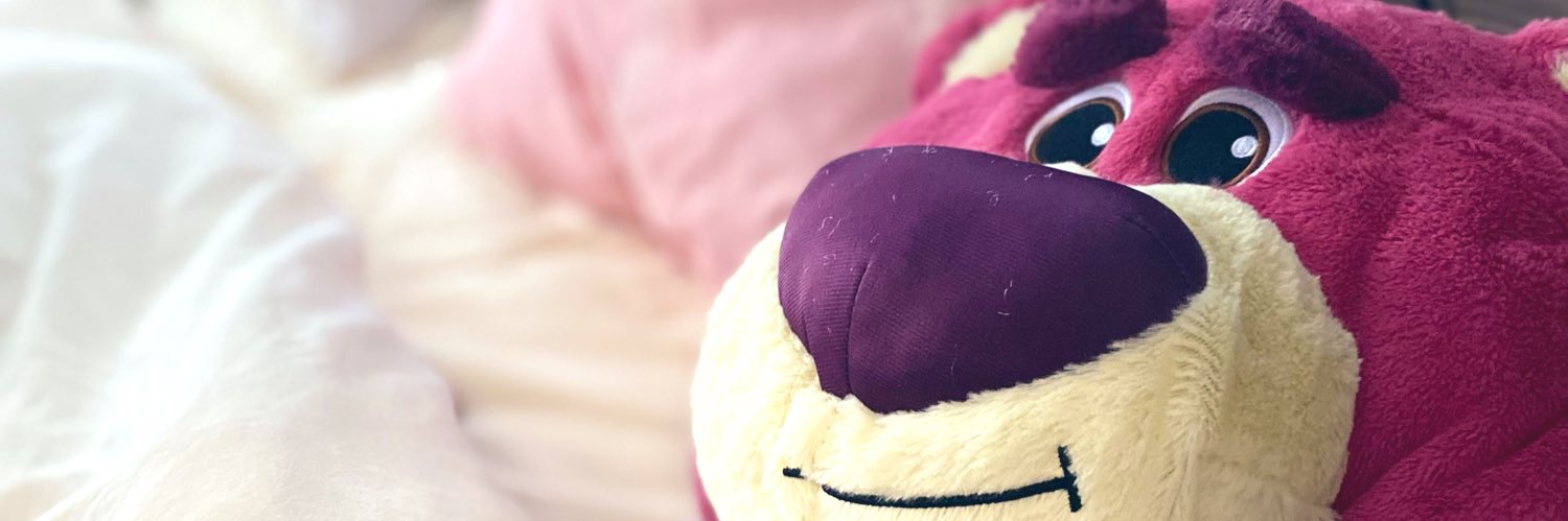 NMegu9's profile banner image