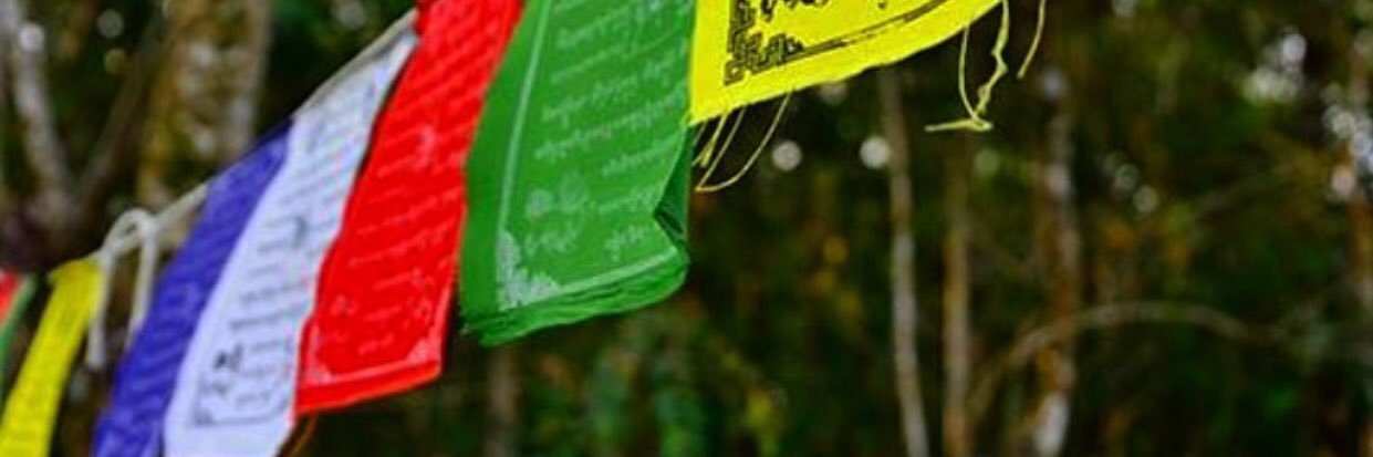 BuschbeckIngrid's profile banner image