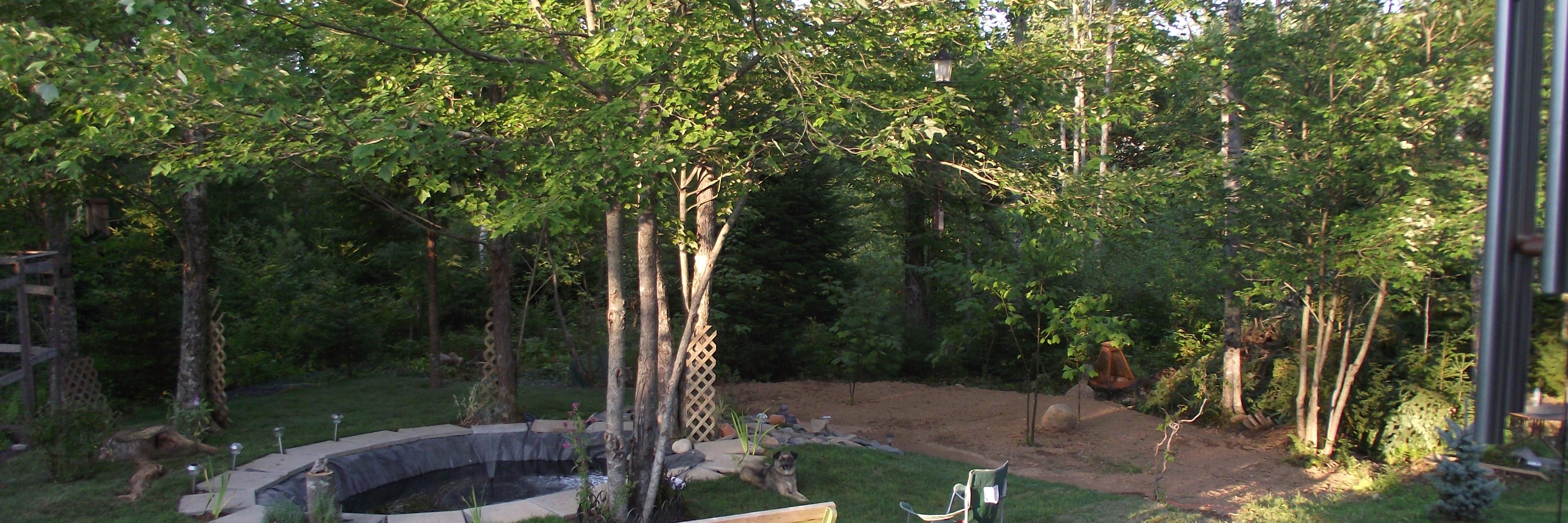 Rockiefit's profile banner image