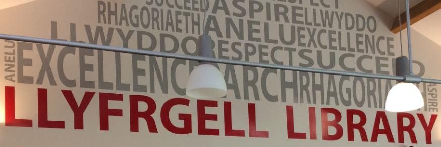 Llyfrgell CSG Library banner