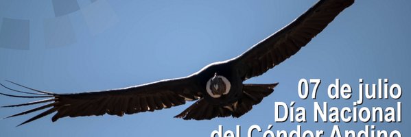 sfpalaciosl's profile banner image