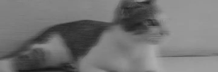 Yuriezzka's profile banner image