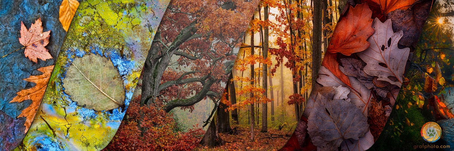 MarkSGraf's profile banner image