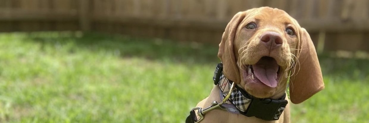 Chance_Howard's profile banner image