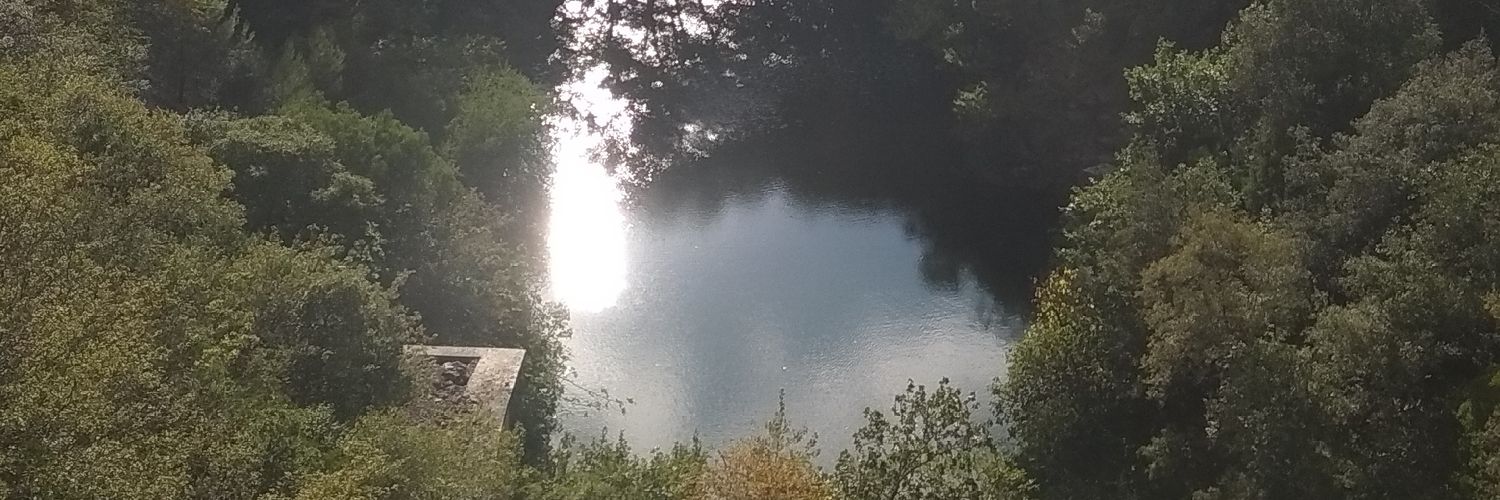 saut_de_chat's profile banner image