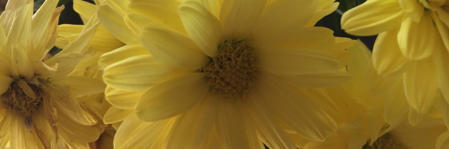 DivateSmruti's profile banner image