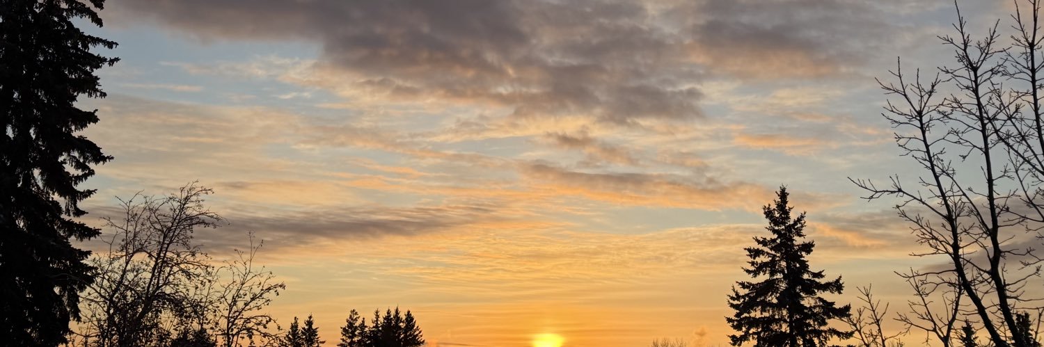 Byron Johnson banner