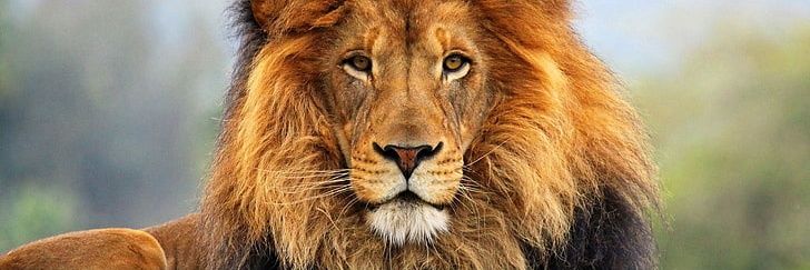 dkwilliams11281's profile banner image