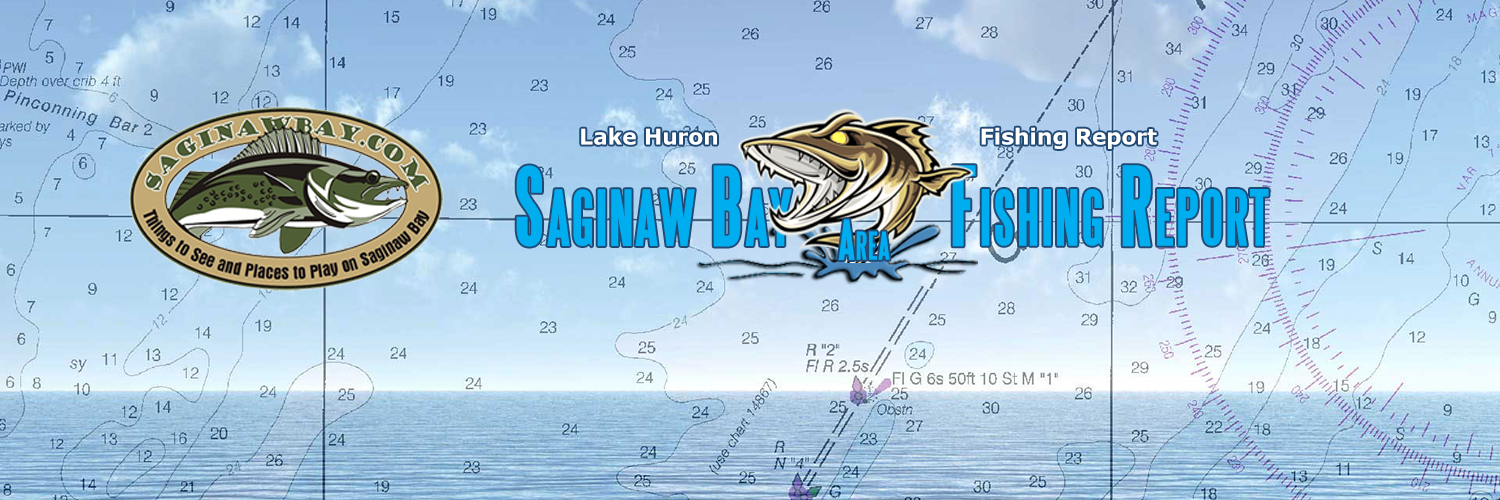 Saginaw Bay 🇺🇸 banner