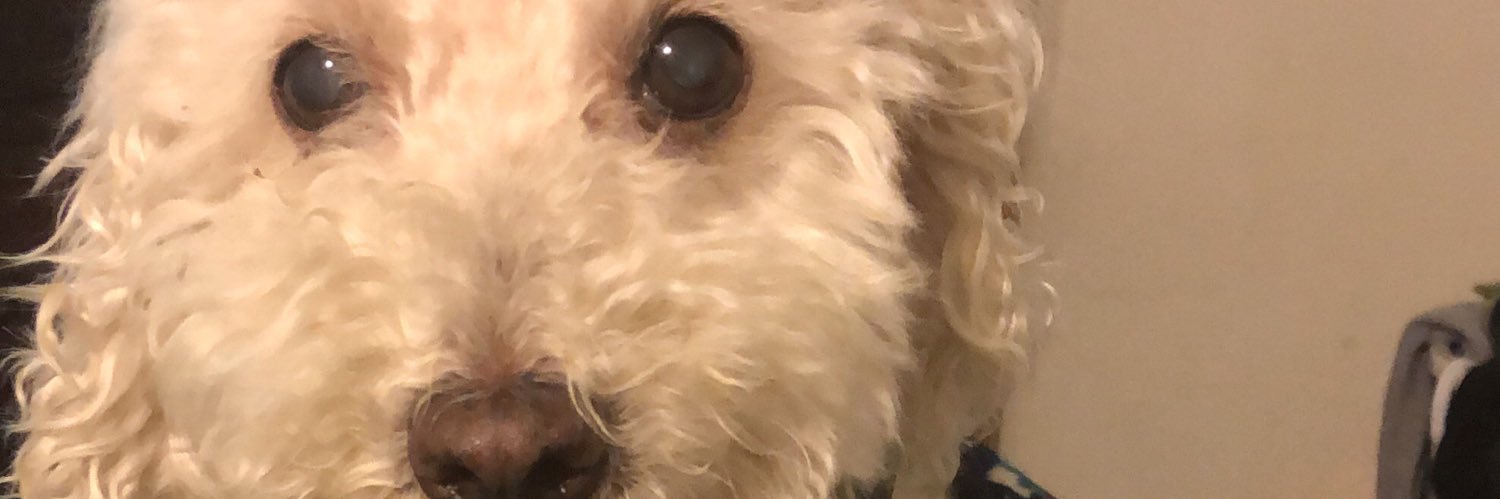 Tangy_Angy's profile banner image