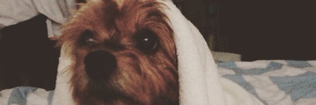 _KitchenT's profile banner image