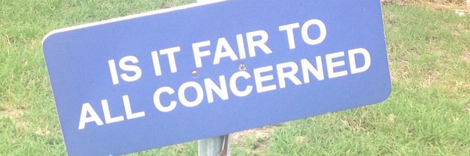 VidaPanitch's profile banner image