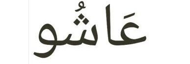 afeksoi's profile banner image