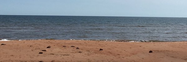 CathyBennettNL Profile Banner