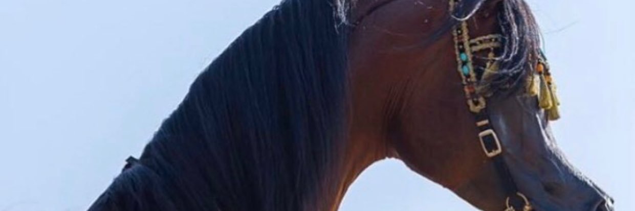sort_3's profile banner image